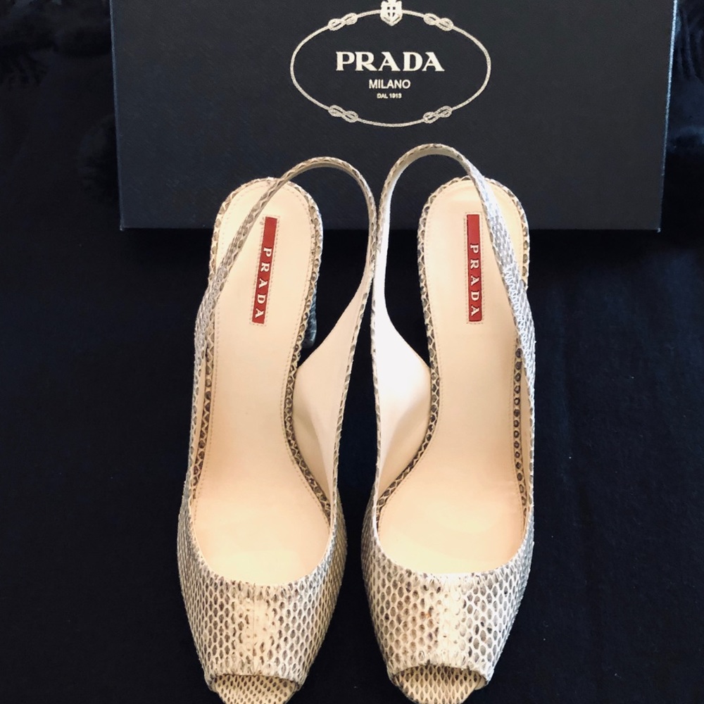 Prada Snakeskin Pumps